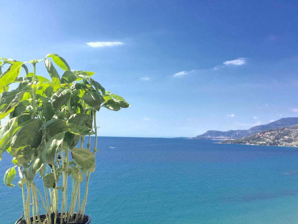 Casa Calandre Mare Daire Ventimiglia Dış mekan fotoğraf